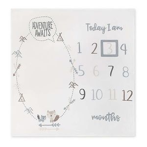 Gerber Adventure Awaits Milestone Blanket